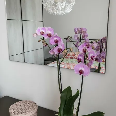 Balkissa Apartmán *